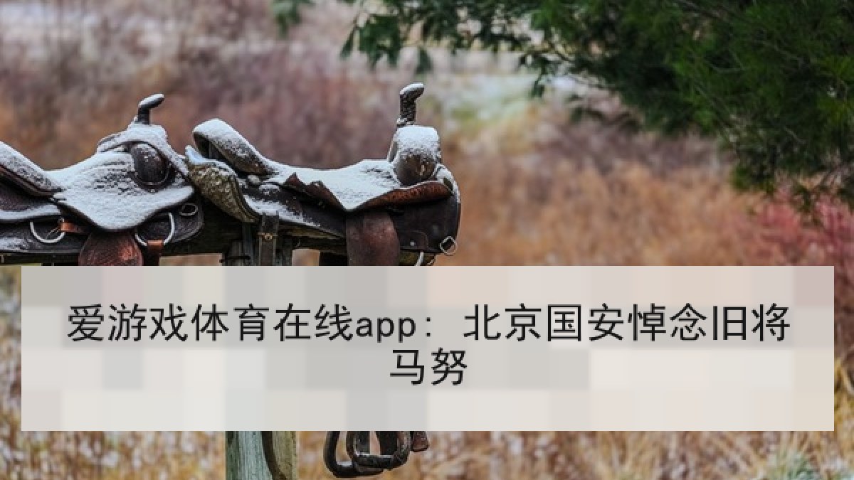 爱游戏体育在线app: 北京国安悼念旧将马努 爱游戏体育在线app: 北京国安悼念旧将马努